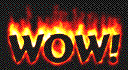 wow_001.gif (21786 bytes)
